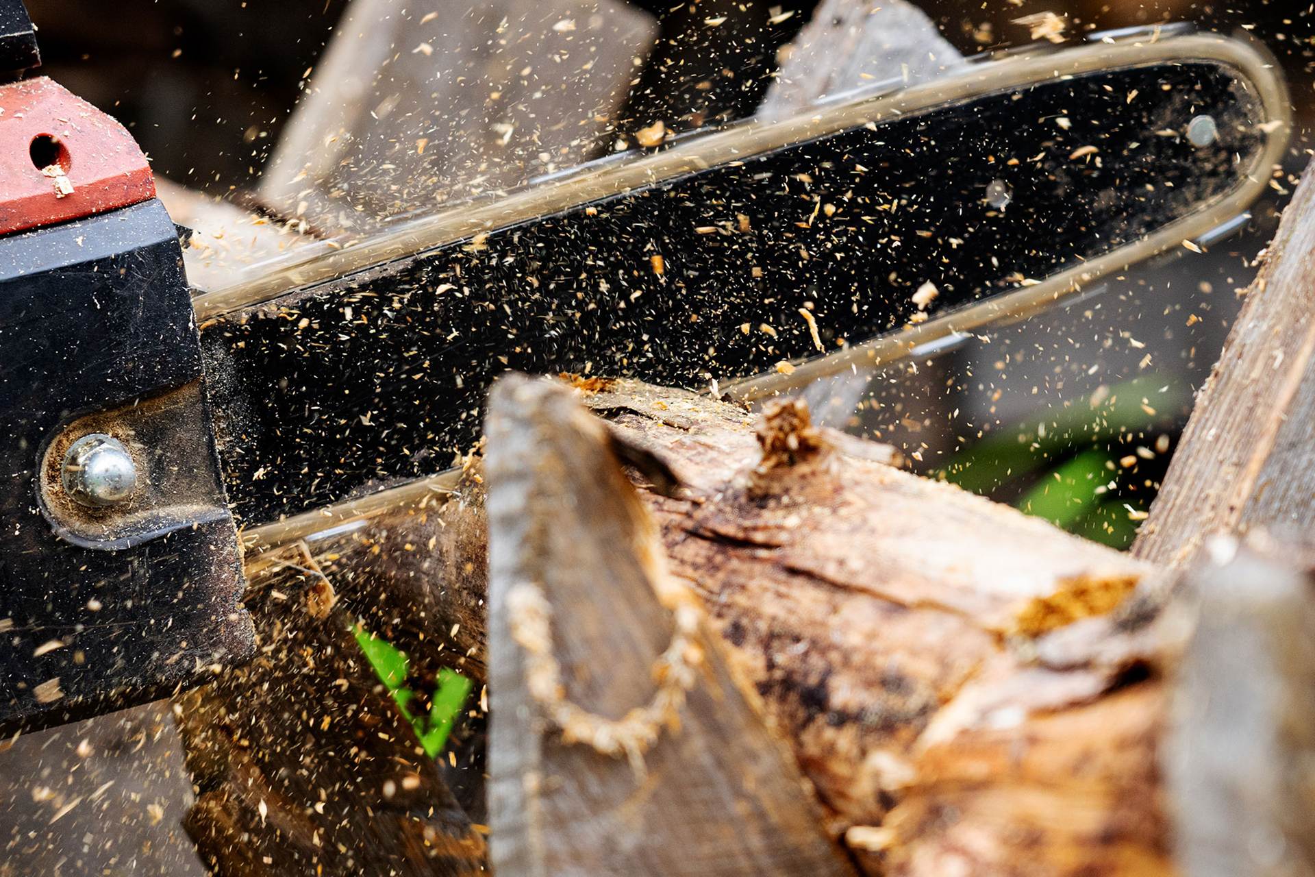 Kettensäge beim Zersägen eines Holzstamms, Sägespäne fliegen